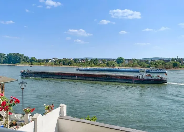 Beautiful Apartment Right On The Rhine