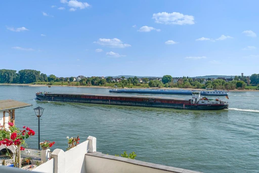 Beautiful Right On The Rhine