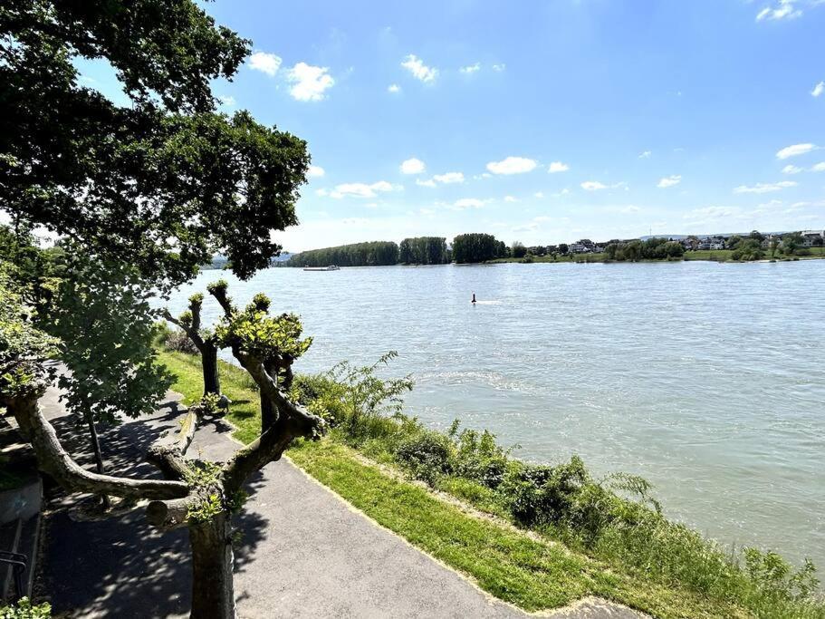 Apartment Beautiful Right On The Rhine Neuwied