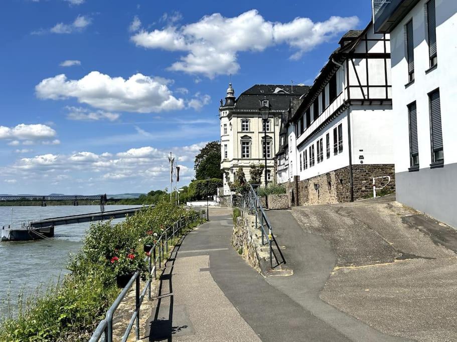 Beautiful Right On The Rhine