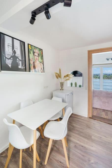 Apartment Beautiful Right On The Rhine