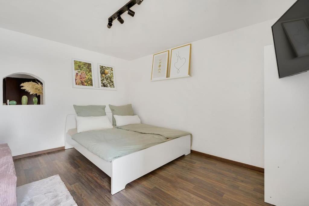 Beautiful Right On The Rhine Apartment *